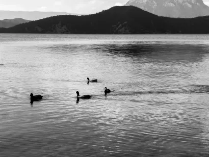 SlotoCash Casino Mobiilirakendus